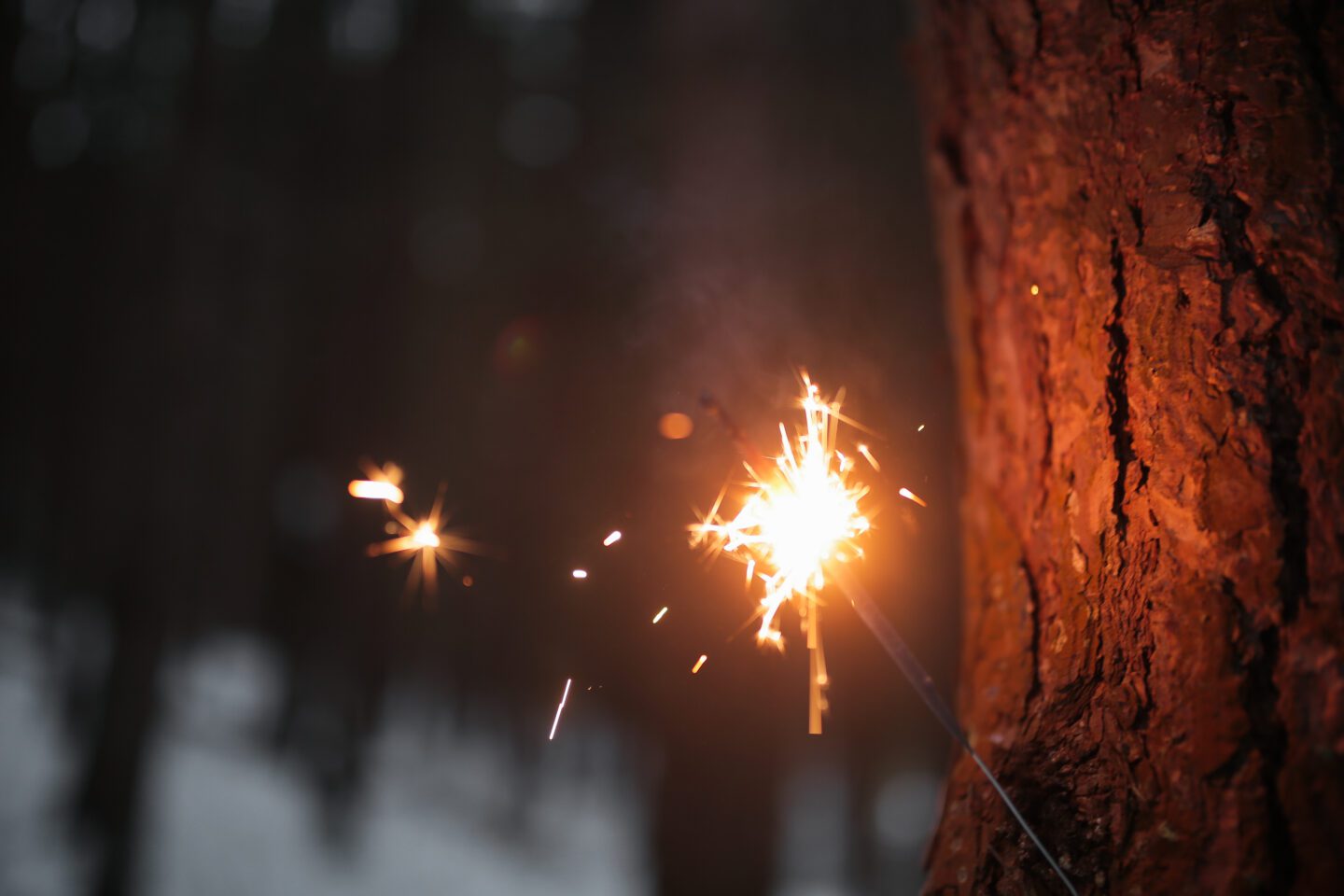 Sparks of a sparkler in the forest on Bonfire Night 